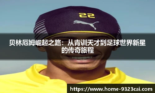 9323彩集团